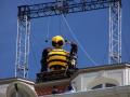 Jerry Seinfeld - Bee Movie