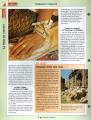 monnaie 2 (8)